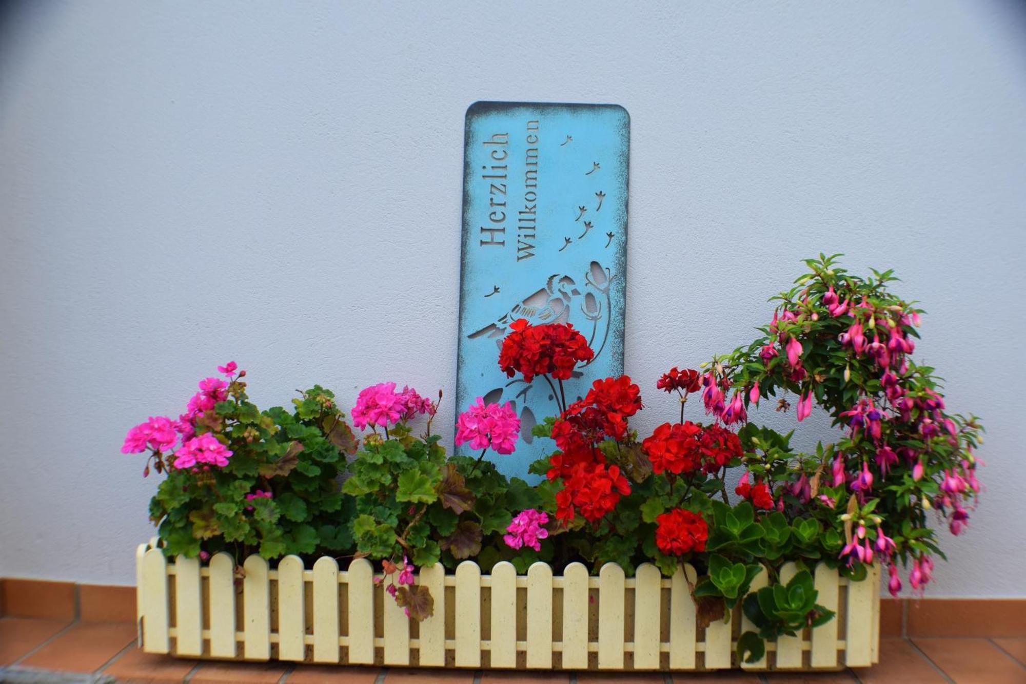 Ferienwohnung Goethe Bernkastel-Kues Kültér fotó